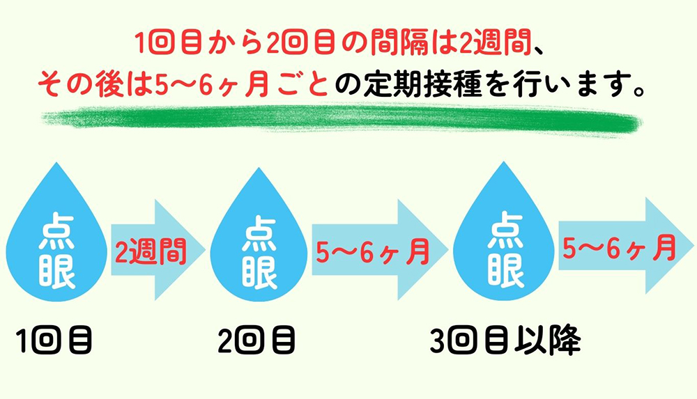 定期的に実施することで、お口のバリア機能を維持します。