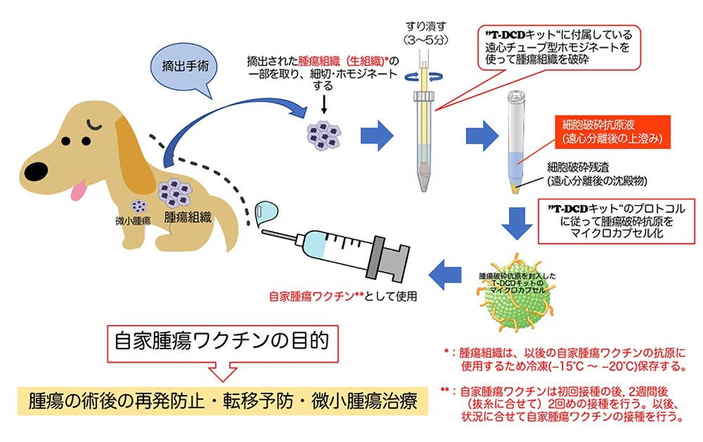 野田阪神動物病院におけるT-DCDキットを使った自家腫瘍ワクチン療法の流れ