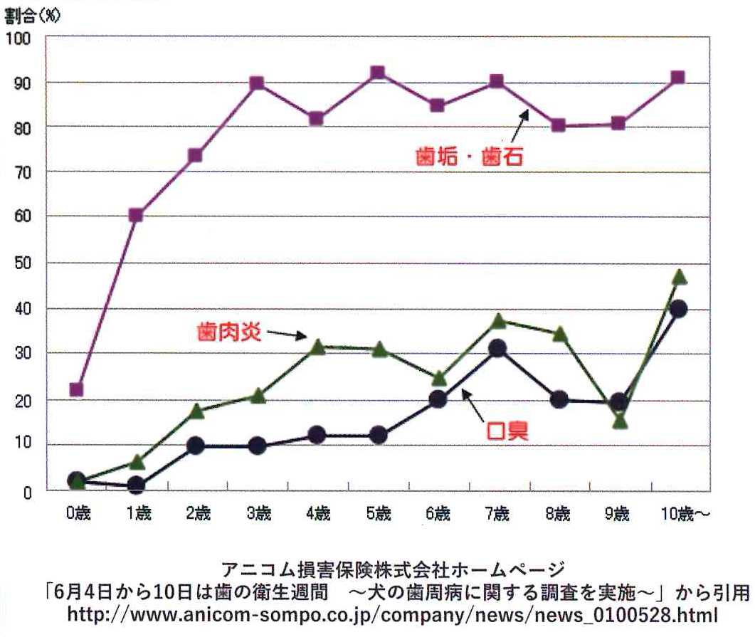 ペットの歯周病は予防できます